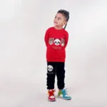 ست بلوز شلوار پسرانه دورس گلدوزی شده برادران خرسی