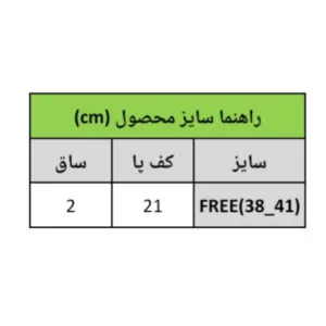 InShot 20260225 164036568